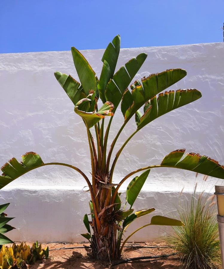 Casa Vivi Fuerteventura Apartment คอร์ราเลโฮ ภายนอก รูปภาพ