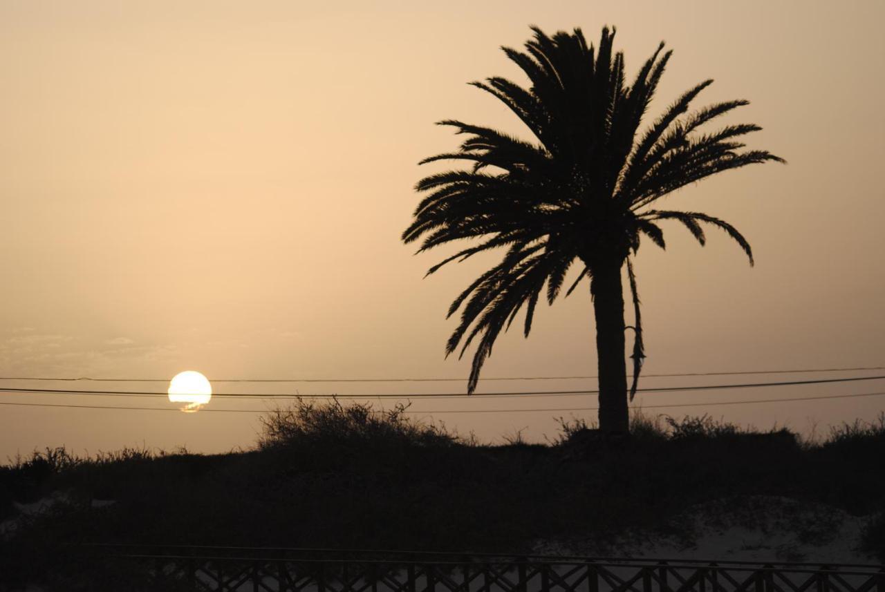 Casa Vivi Fuerteventura Apartment คอร์ราเลโฮ ภายนอก รูปภาพ